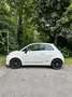 Fiat 500 VERKOCHT ! Fiat 500 automatic/ leder / pano - thumbnail 2