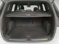 Ford Kuga 1.5 EcoB. Auto S&S ST-Line 4x2 150 Blanco - thumbnail 13