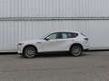Mazda CX-60 3.3L e-SKYACTIV D EXC-LINE DRI/PAN/COM Aut. AUT... White - thumbnail 7