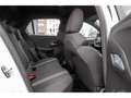 Opel Corsa GS 1.2 Automatik SHZ LRH LED ACC Apple CarPlay And Blanc - thumbnail 10