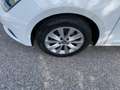 SEAT Leon 1.5 TSI ST Style wenig KM*Parksensoren v+h Wit - thumbnail 6