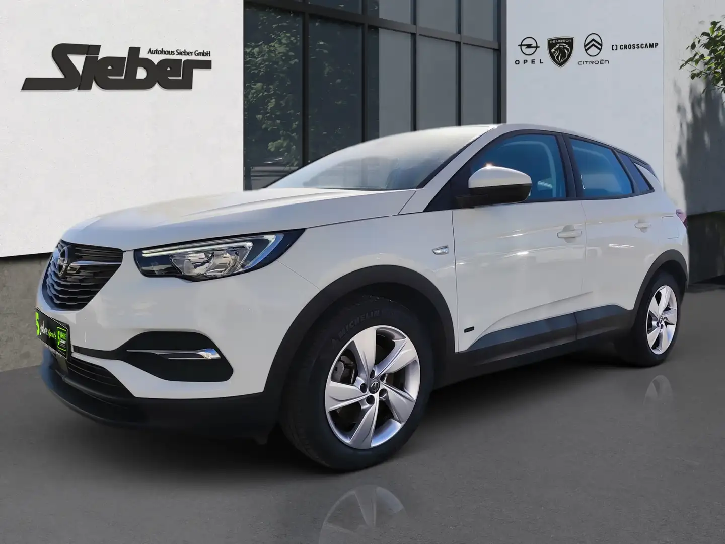 Opel Grandland 1.6 Turbo Hybrid Edition Navi Kamera Wit - 2