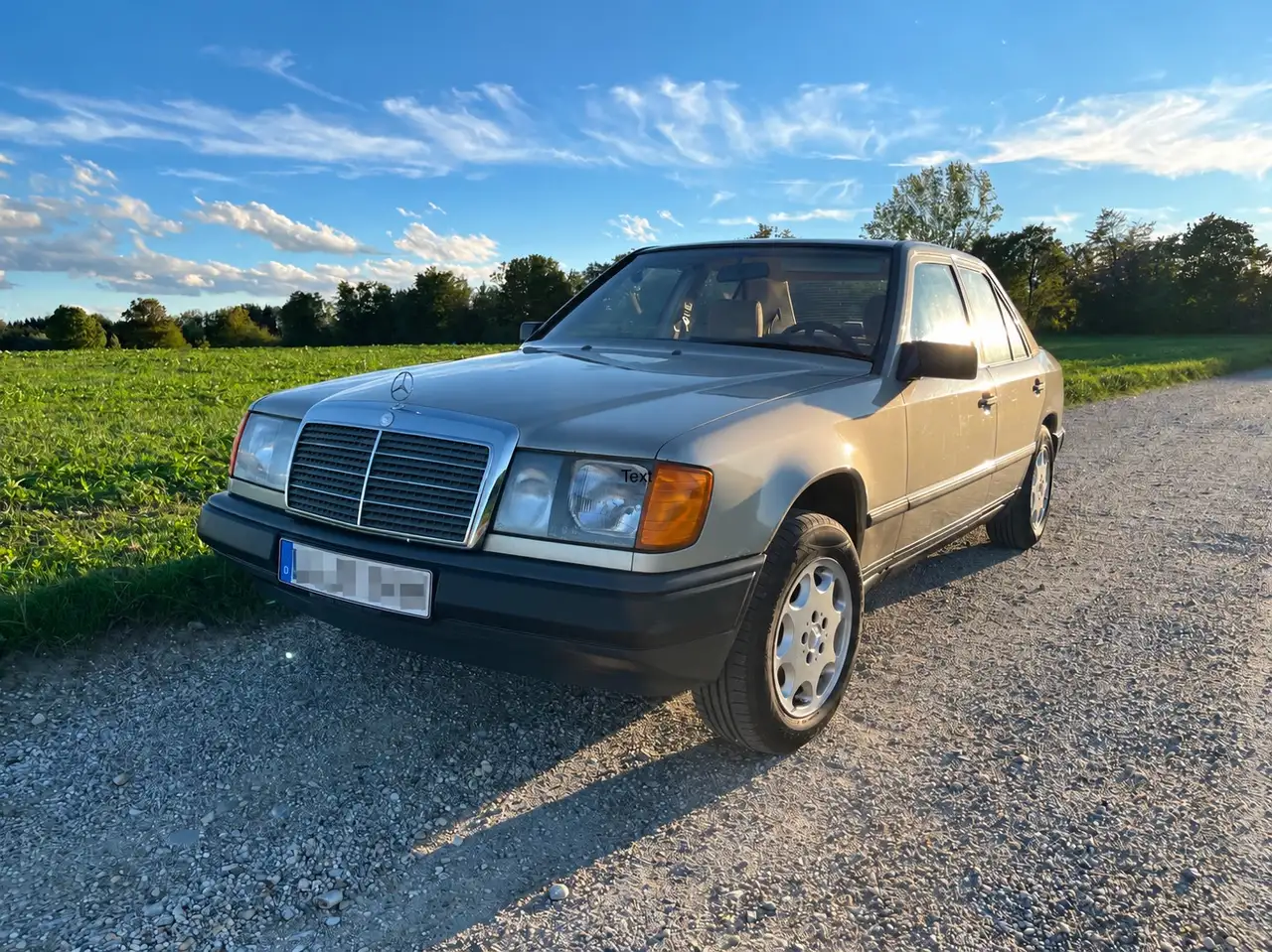 Mercedes-Benz Baureihe 124 E-Klasse, foto 1