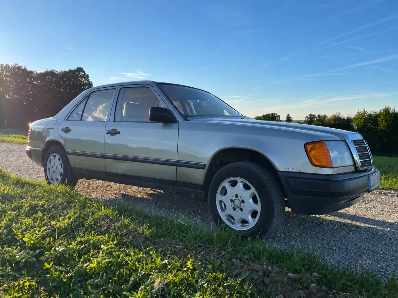 Mercedes-Benz Baureihe 124 E-Klasse, foto 3