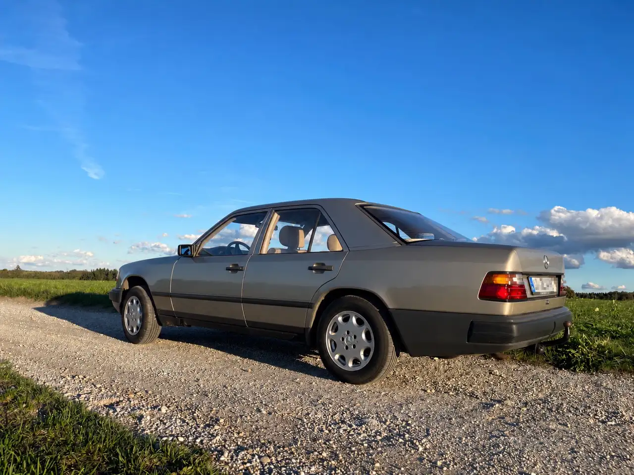 Mercedes-Benz Baureihe 124 E-Klasse, foto 2