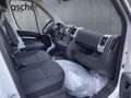 Opel MOVANO Blanc - thumbnail 5
