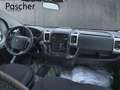 Opel MOVANO Blanc - thumbnail 7