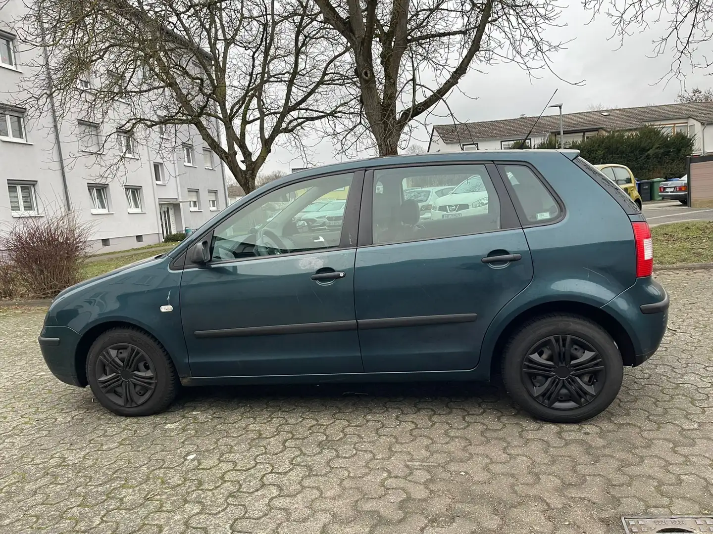 Volkswagen Polo Basis Grün - 1