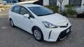 Toyota Prius+ Prius+ 1.8h Active GARANZIA UFFICIALE COME NUOVA Bianco - thumbnail 2