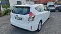 Toyota Prius+ Prius+ 1.8h Active GARANZIA UFFICIALE COME NUOVA Bianco - thumbnail 3