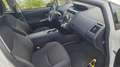 Toyota Prius+ Prius+ 1.8h Active GARANZIA UFFICIALE COME NUOVA Bianco - thumbnail 13