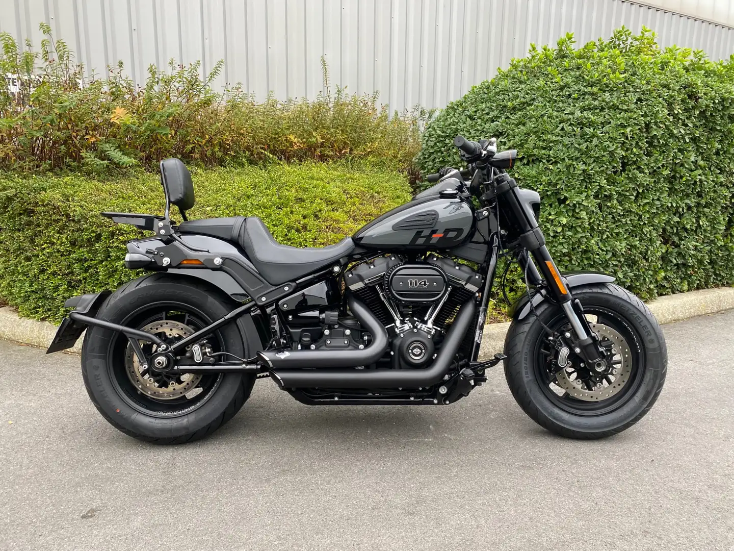 Harley-Davidson Softail - 1
