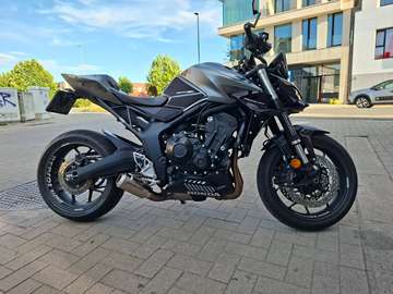 Hornet