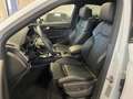 Audi SQ5 SPB 3.0 TDI MHEV QUATTRO TETTO GANCIO TRAINO FULL Bianco - thumbnail 10