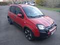 Fiat New Panda Panda Cross 1.0i MHEV City Cross 5pl. Rouge - thumbnail 11
