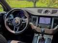 Porsche Macan Macan 3.0 GTS 360cv pdk -- Bollo + Super b pagati Gris - thumbnail 15