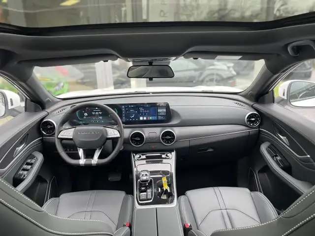 Forthing T5 Evo view 13