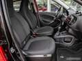 smart forFour 66 kW turbo Sportpaket Glasdach PTS Rot - thumbnail 5