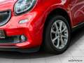 smart forFour 66 kW turbo Sportpaket Glasdach PTS Rot - thumbnail 3