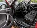 smart forFour 66 kW turbo Sportpaket Glasdach PTS Rot - thumbnail 9