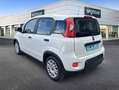 Fiat Panda Hybrid 1.0 51kw+Pack Comfort Plus - Blanco - thumbnail 7