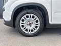 Fiat Panda Hybrid 1.0 51kw+Pack Comfort Plus - Blanco - thumbnail 12