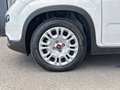 Fiat Panda Hybrid 1.0 51kw+Pack Comfort Plus - Wit - thumbnail 11