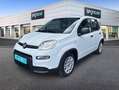 Fiat Panda Hybrid 1.0 51kw+Pack Comfort Plus - Blanco - thumbnail 1