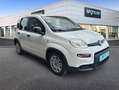 Fiat Panda Hybrid 1.0 51kw+Pack Comfort Plus - Blanco - thumbnail 3