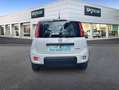 Fiat Panda Hybrid 1.0 51kw+Pack Comfort Plus - Blanco - thumbnail 6