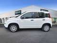 Fiat Panda Hybrid 1.0 51kw+Pack Comfort Plus - Blanco - thumbnail 5