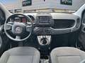 Fiat Panda Hybrid 1.0 51kw+Pack Comfort Plus - Wit - thumbnail 8