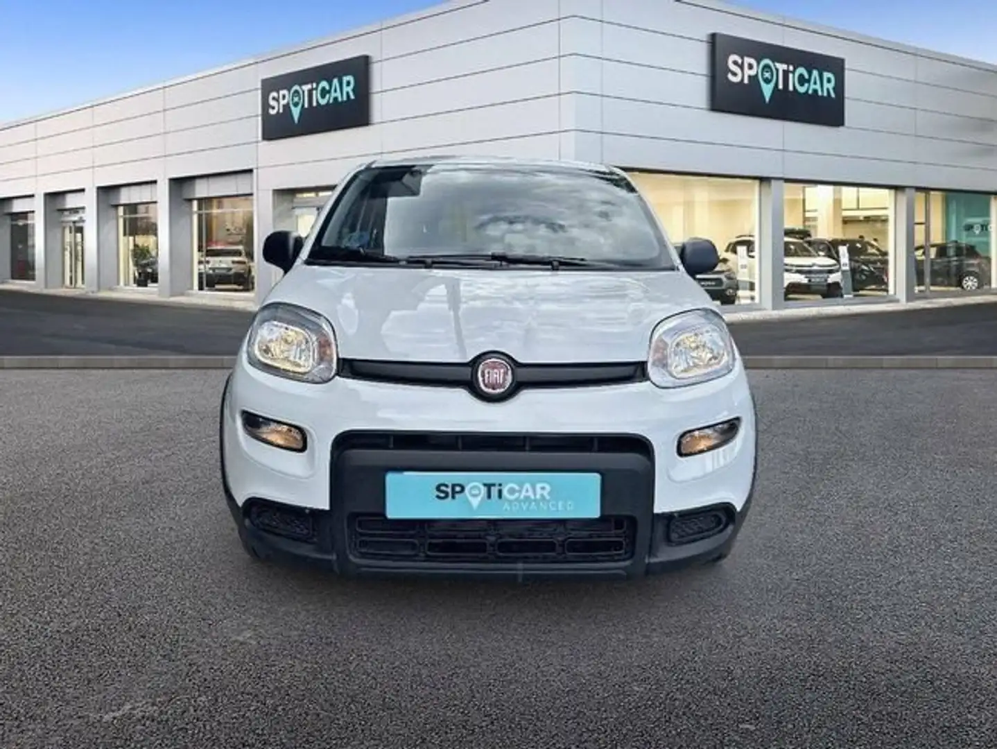 Fiat Panda Hybrid 1.0 51kw+Pack Comfort Plus - Blanco - 2
