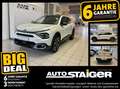 Citroen C4 X e Shine 136 Panoramadach Head-Up-Display Wit - thumbnail 1