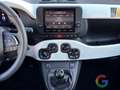 Fiat Panda Pandina Cross Hybrid - PROMO-IVA ESP. - thumbnail 10
