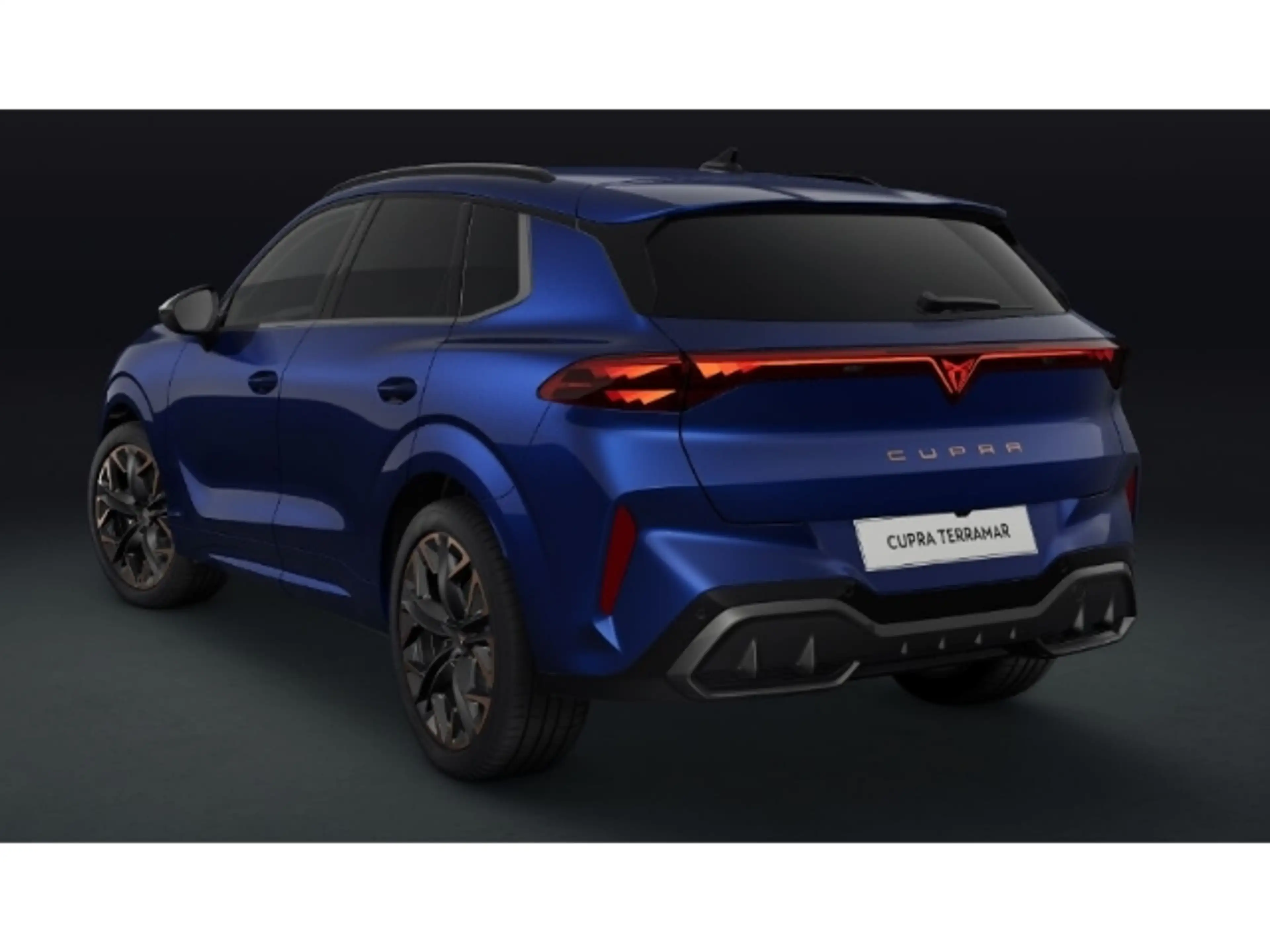CUPRA Terramar 4Driver 195 kW (265 PS) Automatik AD Panorama Digi — photo 2