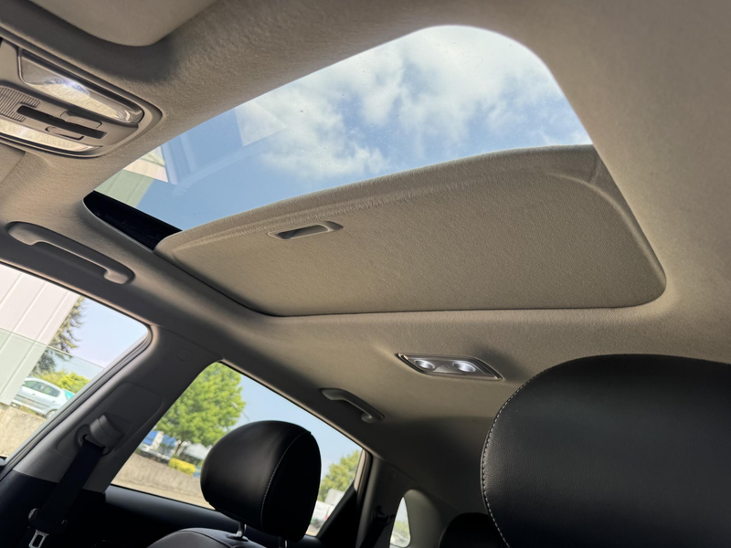 Kia e-Niro ExecutiveLine Sky 64 kWh | SOH: 93,9% | 3 Fase | W — photo 13