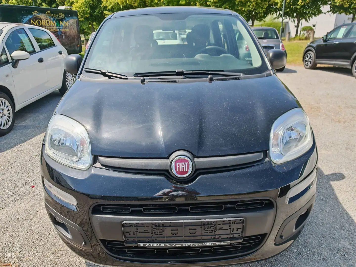 Fiat New Panda Easy 1.2 8V 51kW Klima-NSW-Allwetter-el. FH- FB ZV Schwarz - 2
