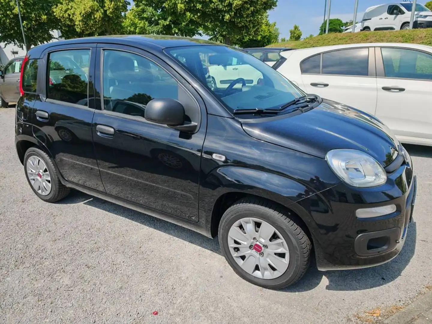 Fiat New Panda Easy 1.2 8V 51kW Klima-NSW-Allwetter-el. FH- FB ZV Schwarz - 1