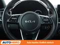 Kia ProCeed / pro_cee'd 1.6 TGDI GT Aut.*NAVI*ACC*STNDHZG*CAM*PANO*LED*JBL Gris - thumbnail 17