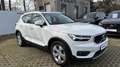 Volvo XC40 Momentum Pro, B4 mildhybrid Blanc - thumbnail 6