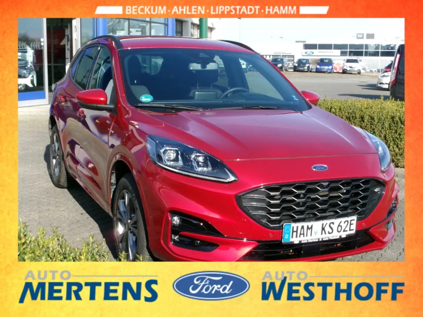 Ford Kuga Plug-In Hybrid ST-Line X 2.5 Duratec -PHEV EU6d Rot - 2