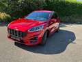 Ford Kuga Kuga 2,0 EcoBlue AWD ST-Line X Aut. ST-Line X Rot - thumbnail 7