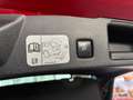Ford Kuga Kuga 2,0 EcoBlue AWD ST-Line X Aut. ST-Line X Rot - thumbnail 14