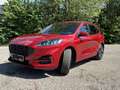 Ford Kuga Kuga 2,0 EcoBlue AWD ST-Line X Aut. ST-Line X Rot - thumbnail 2