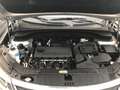 Kia Sorento 2.4L DOHC MPI  2WD Nur Für Export Argento - thumbnail 5