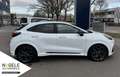 Ford Puma Puma ST 1.5 EcoBoost+Navi+Lenkradheizung Blanc - thumbnail 4