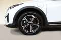 Kia XCeed 1.6 PHEV eDrive Aut. Bianco - thumbnail 8