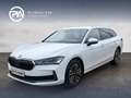 Skoda Superb Selection TDI DSG Weiß - thumbnail 1