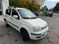 Fiat Panda 1.4 natural power Dynamic, CLIMA, NEOPATENTATI Blanc - thumbnail 7